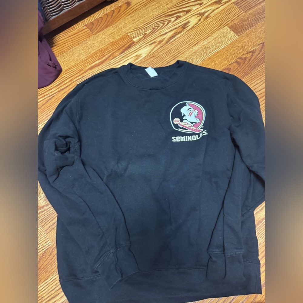 FSU Dublin sweatshirt